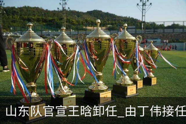 山东队官宣王晗卸任 由丁伟接任主教练一职